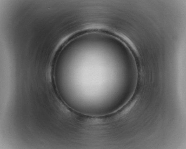 X0000113920783200909241529