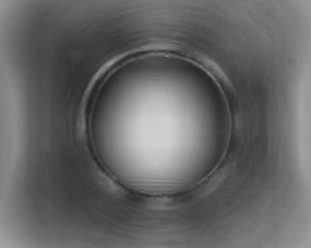 X0000113920784200909241529