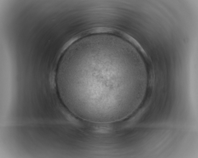 X0000113920786200909241529