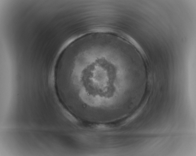 X0000113920787200909241529