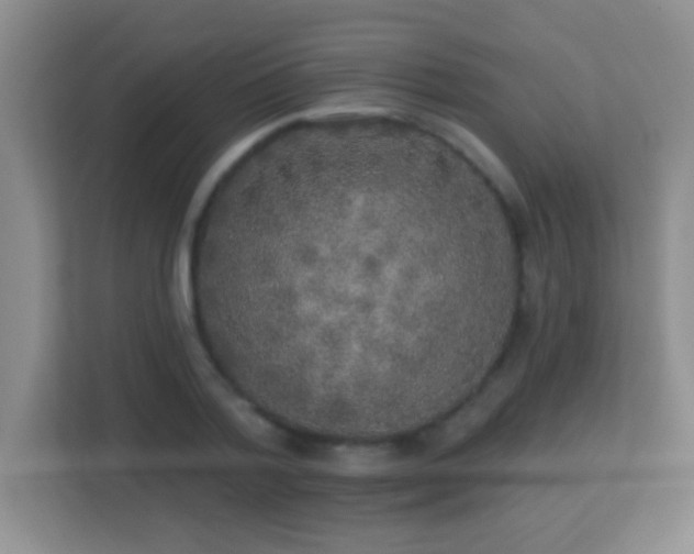 X0000113920788200909241529