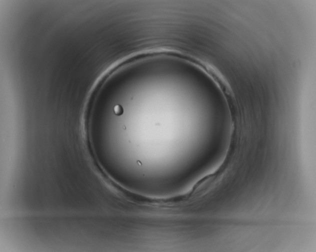 X0000113920789200909241529