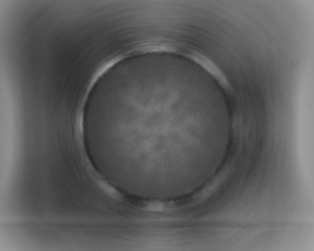 X0000113920790200909241529