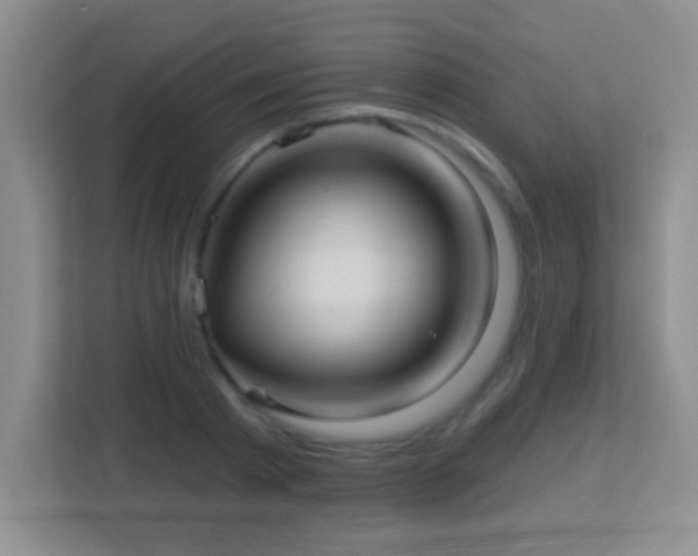 X0000113920793200909241529