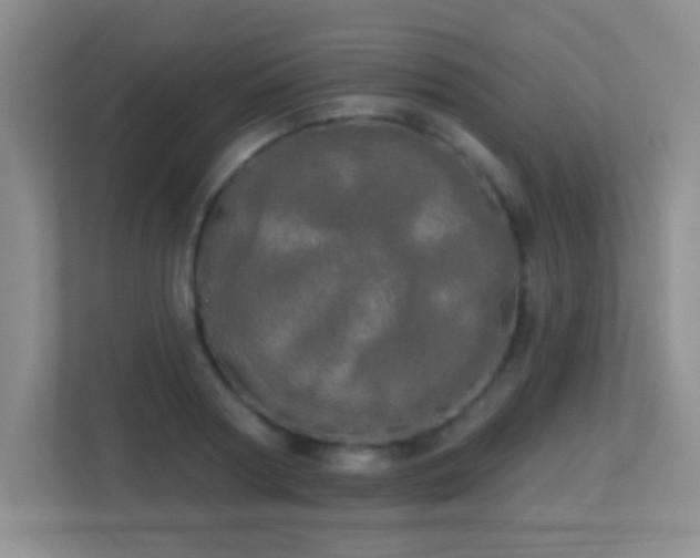 X0000113920794200909241529