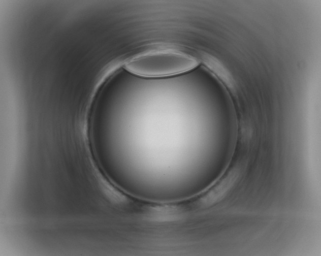 X0000113920797200909241529