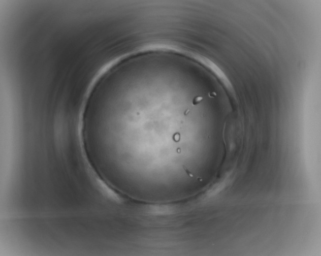 X0000113920799200909241529