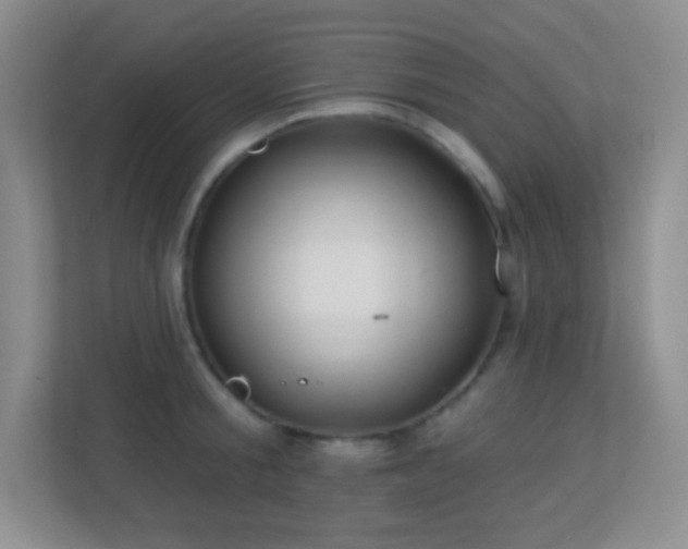 X0000113920805200909241529