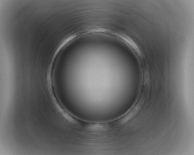 X0000113920806200909241529