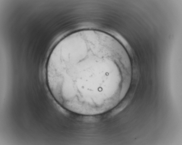 X0000113920807200909241529