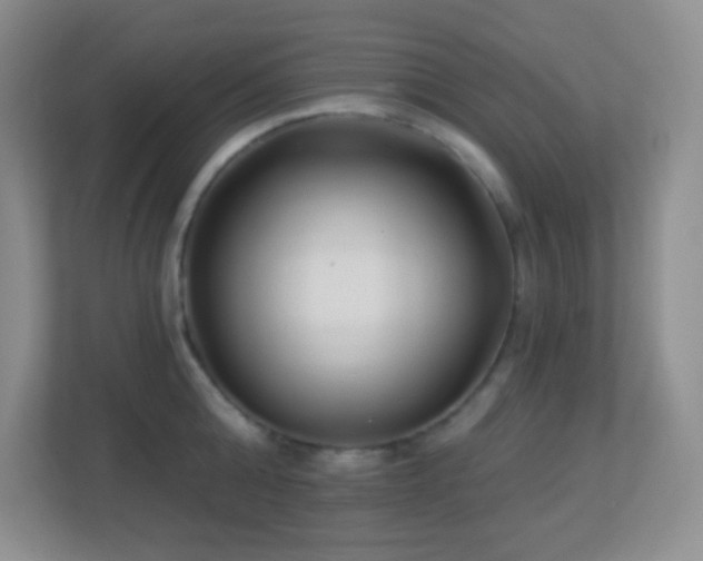 X0000113920808200909241529