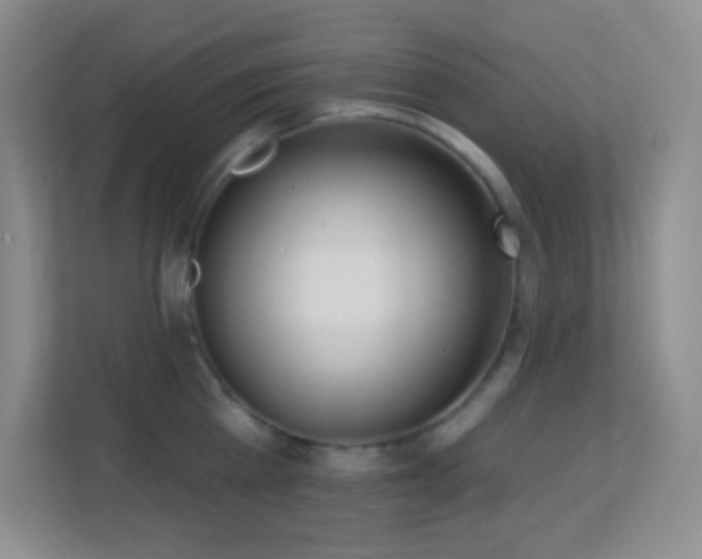 X0000113920809200909241529