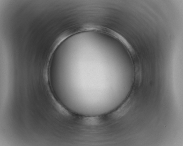 X0000113920810200909241529