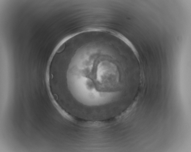 X0000113920811200909241528