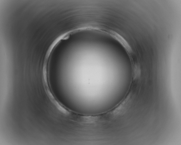 X0000113920812200909241528