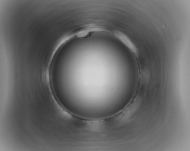 X0000113920813200909241528