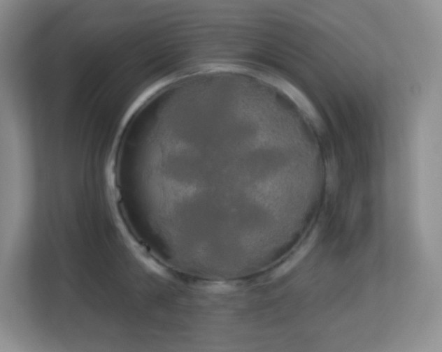 X0000113920814200909241528