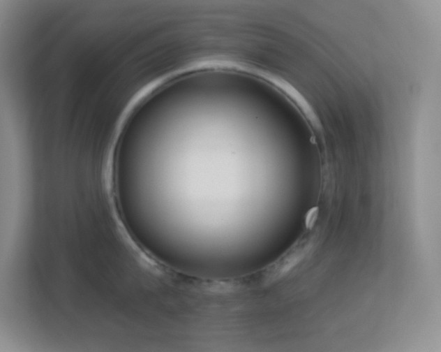 X0000113920815200909241528