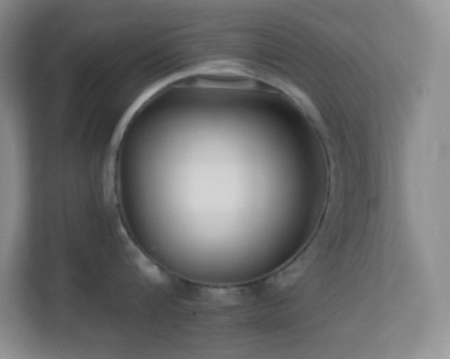 X0000113920816200909241528