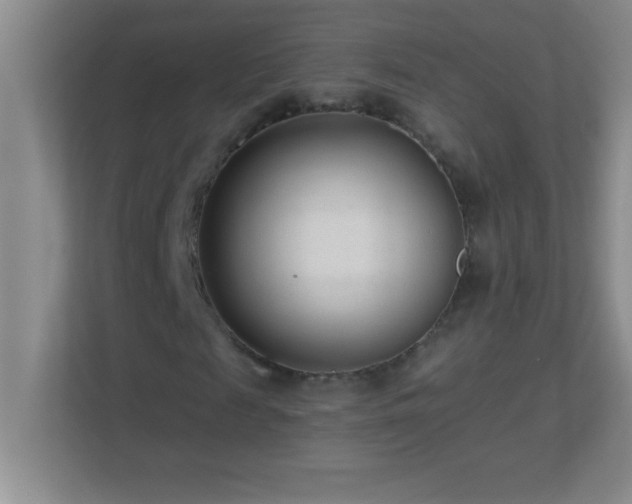 X0000113920817200909241528