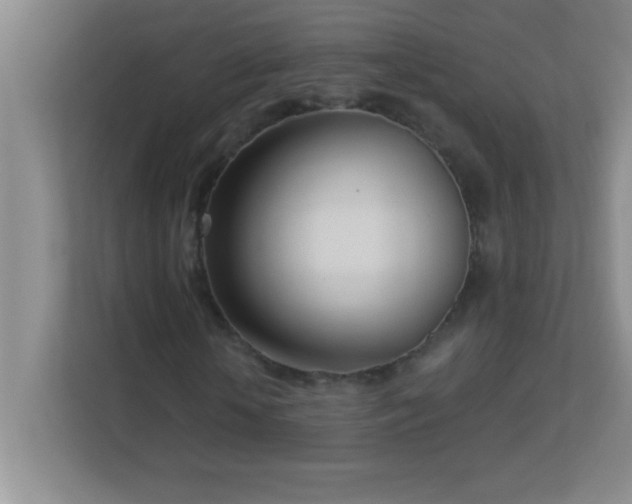 X0000113920818200909241528