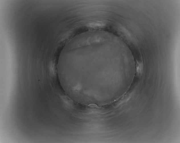 X0000113920819200909241528