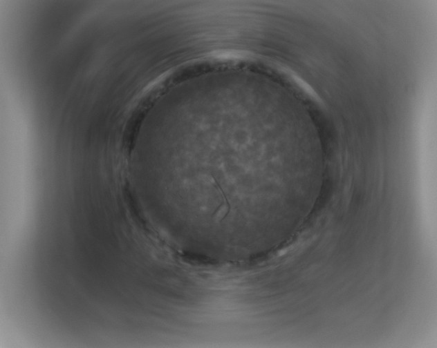 X0000113920821200909241528