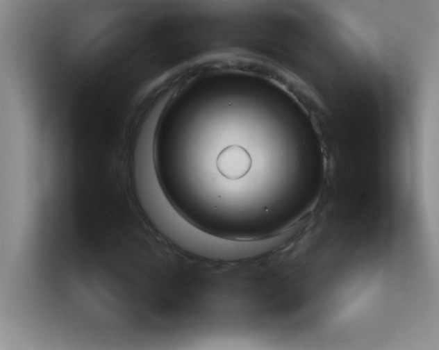 X0000113920822200909241528