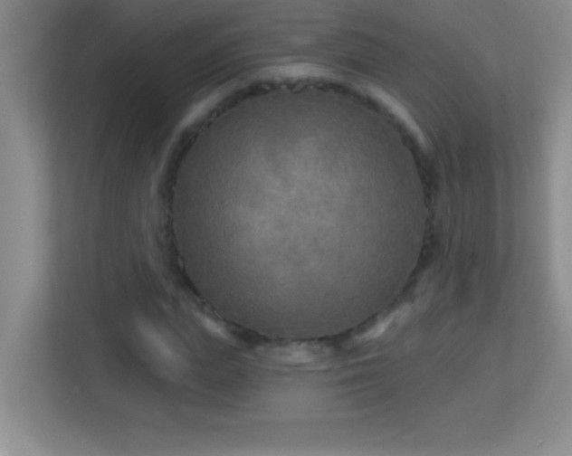 X0000113920823200909241528