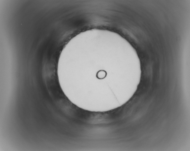 X0000113920824200909241528