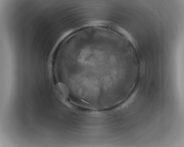 X0000113920827200909241528