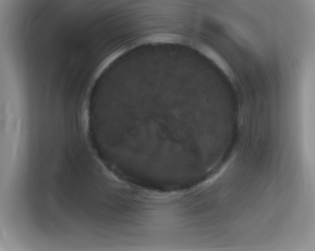 X0000113920829200909241528