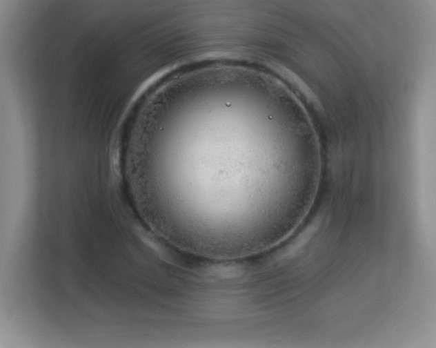 X0000113920830200909241528