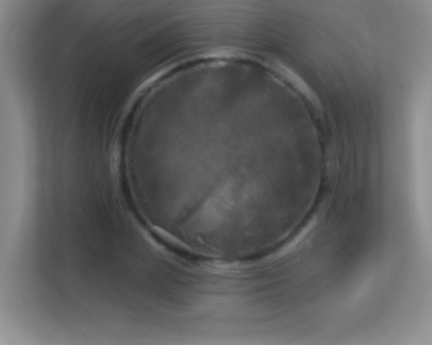 X0000113920831200909241528