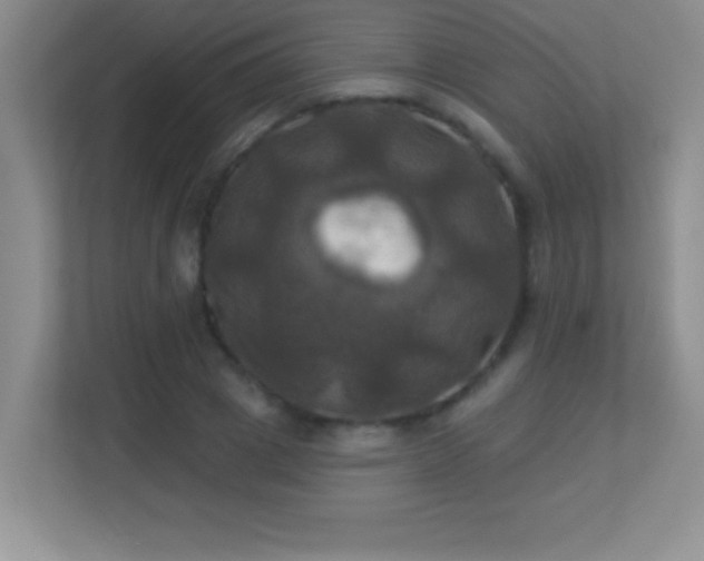 X0000113920833200909241528