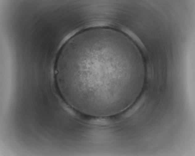 X0000113920834200909241528