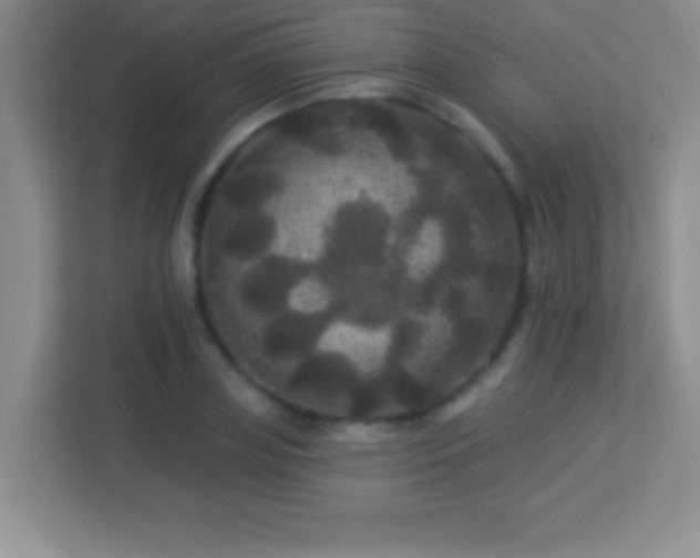 X0000113920835200909241528