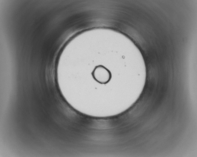 X0000113920836200909241528