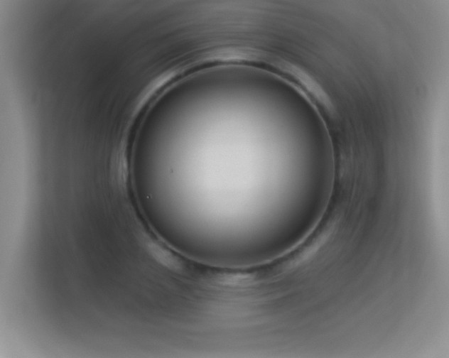 X0000113920837200909241528