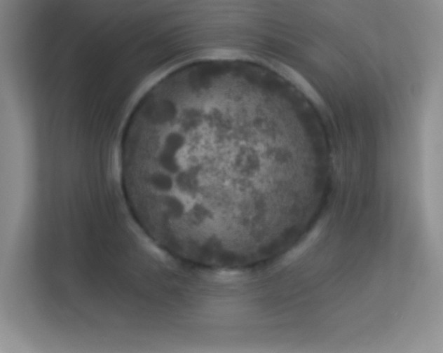 X0000113920839200909241528