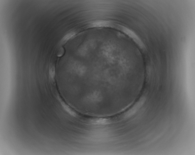 X0000113920841200909241528