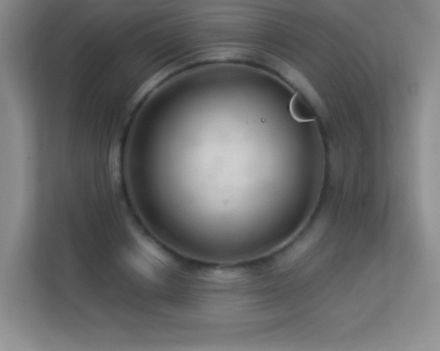 X0000113920842200909241528