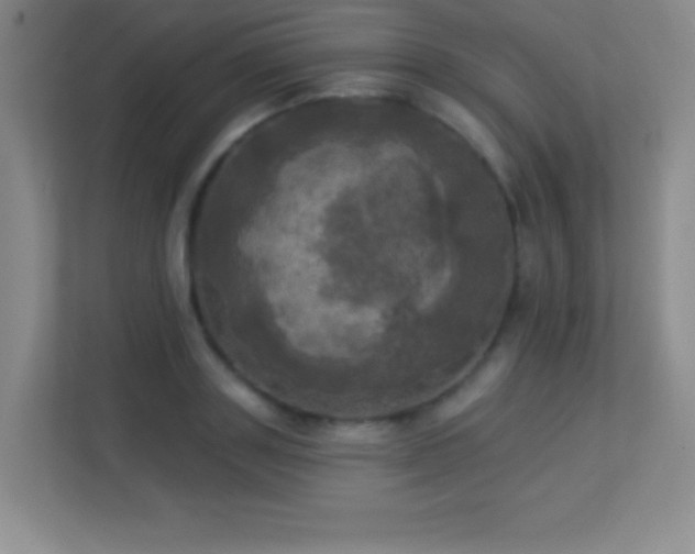 X0000113920843200909241528