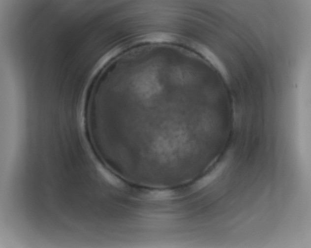 X0000113920845200909241528