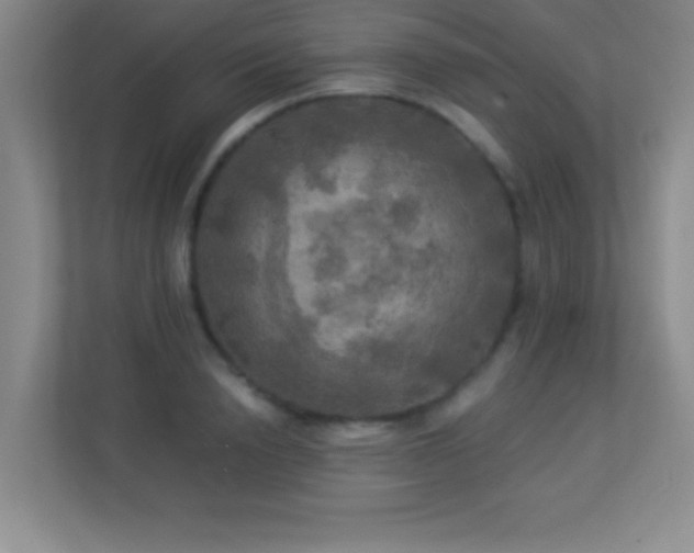 X0000113920846200909241528