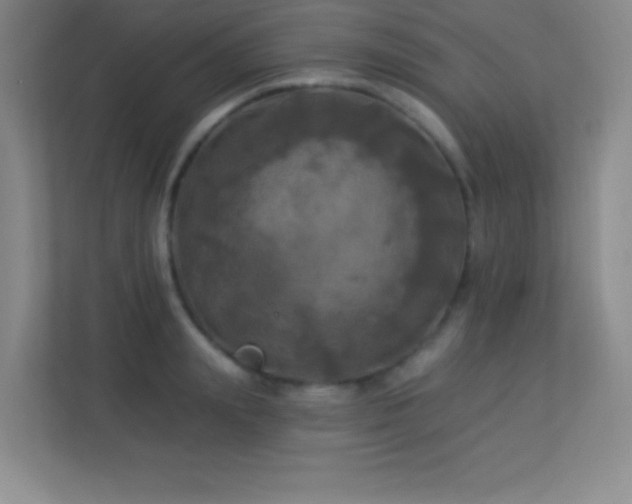 X0000113920847200909241528