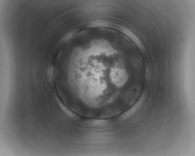 X0000113920849200909241528