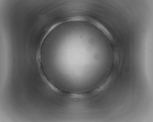 X0000113920852200909241528