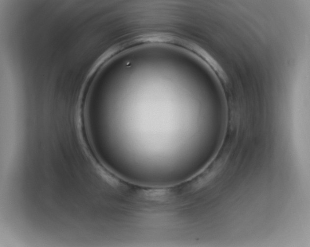 X0000113920853200909241528