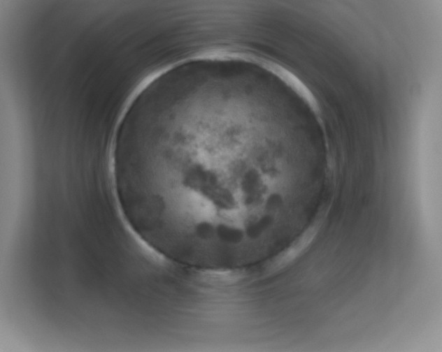 X0000113920855200909241528